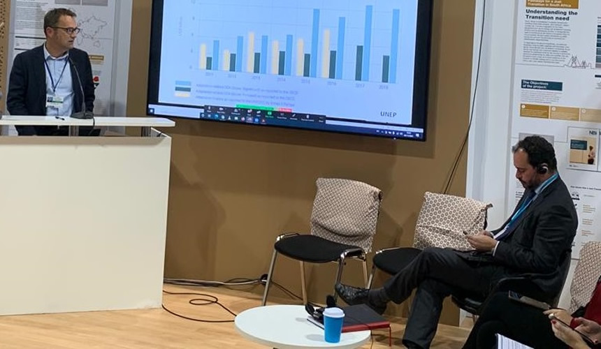 Professor Jim W. Hall of Oxford University Represents PSIPW as its COP 26 Delegate